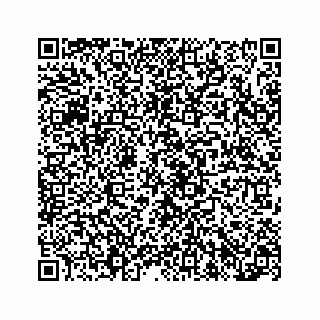 vCard 78316165289