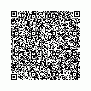 vCard 78316165313