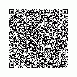 vCard 78316165333