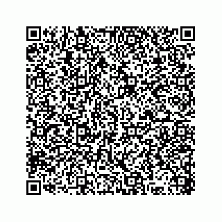 vCard 78316165375