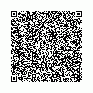 vCard 78316165377