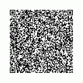 vCard 78316165379