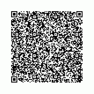 vCard 78316165380