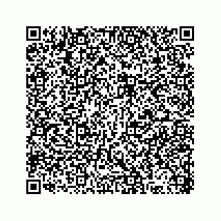 vCard 78316165381