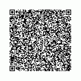 vCard 78316165389