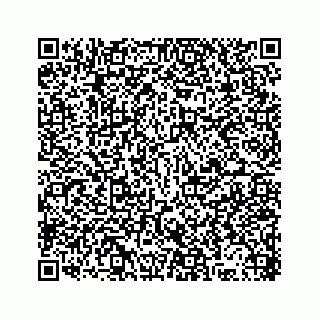 vCard 78316165391