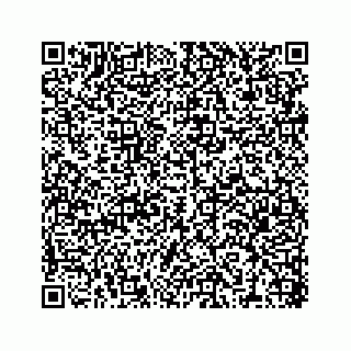 vCard 78316390020