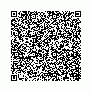 vCard 78316390027