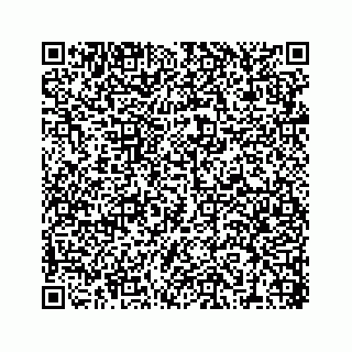 vCard 78316390031