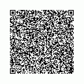 vCard 78316390035