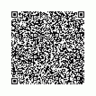 vCard 78316390080