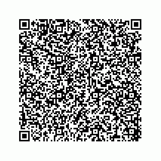vCard 78316390099