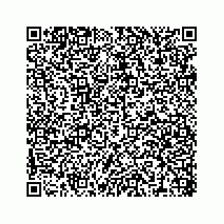 vCard 78316390101