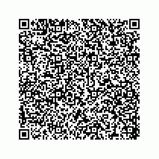 vCard 78316390201