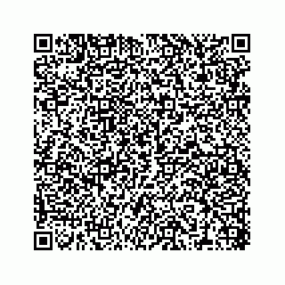 vCard 78316390203