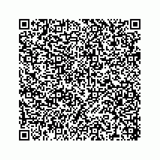 vCard 78316390380