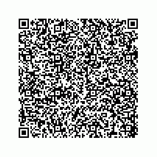 vCard 78316390381