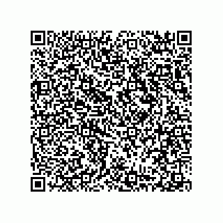 vCard 78316539115
