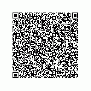 vCard 78316539153