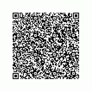 vCard 78316539187
