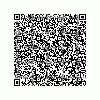 vCard 78316539281