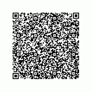 vCard 78316539295