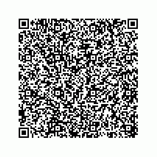 vCard 78316838410