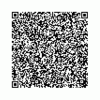 vCard 78316838411