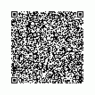 vCard 78317120020