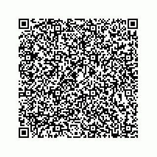 vCard 78317120381