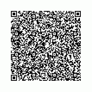 vCard 78317120384