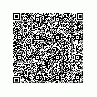 vCard 78317365041