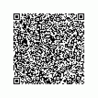 vCard 78317730280