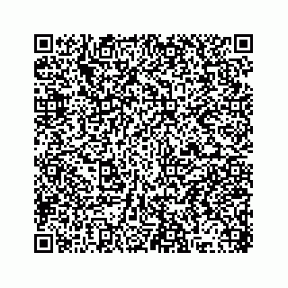 vCard 78319041077