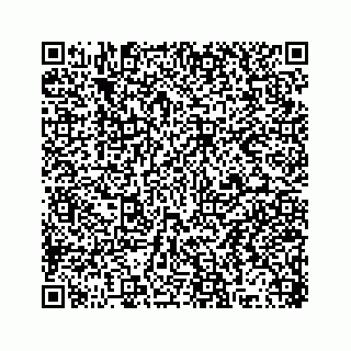 vCard 78319041084