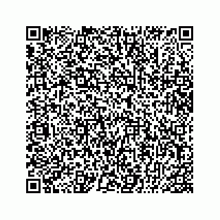 vCard 78319041377