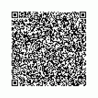 vCard 78319433487