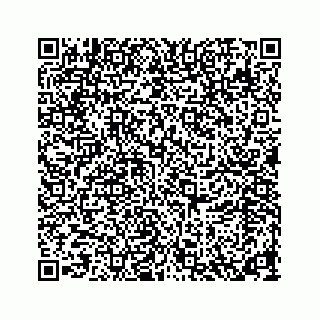 vCard 78319541181