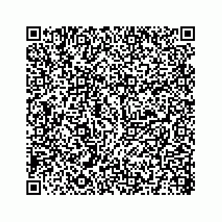 vCard 78319741713