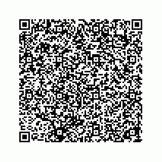 vCard 78319741731