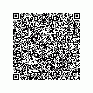 vCard 78332406004