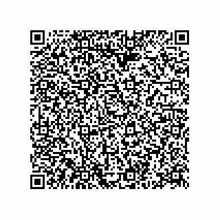 vCard 78332460388