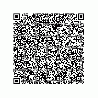 vCard 78332471839