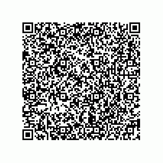 vCard 78332500013