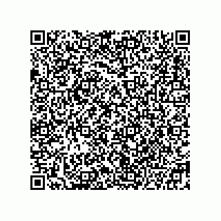 vCard 78332500080