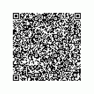 vCard 78332500081
