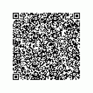 vCard 78332500104
