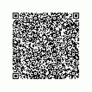 vCard 78332500132