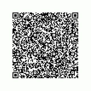 vCard 78332500139