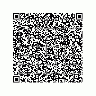 vCard 78332500161